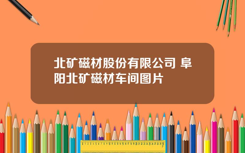 北矿磁材股份有限公司 阜阳北矿磁材车间图片